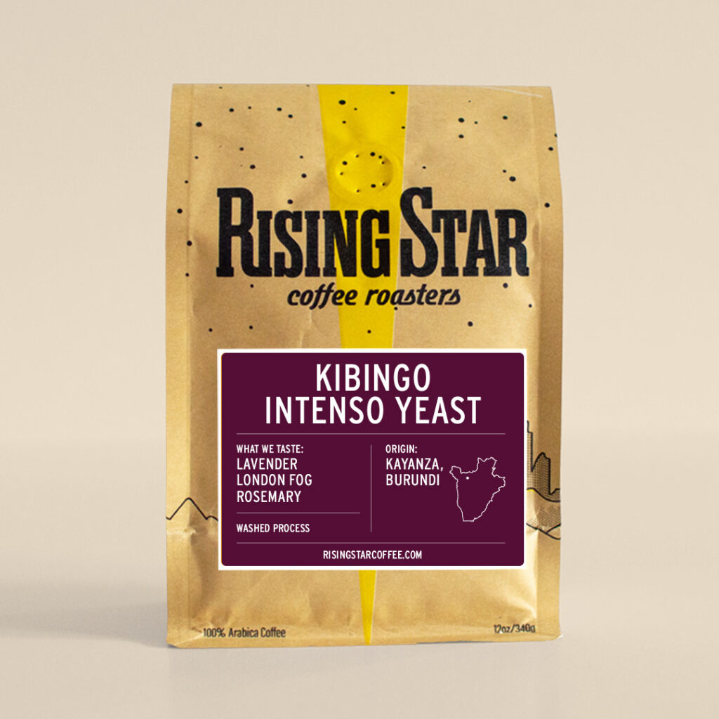 Kibingo Intenso Yeast coffee beans