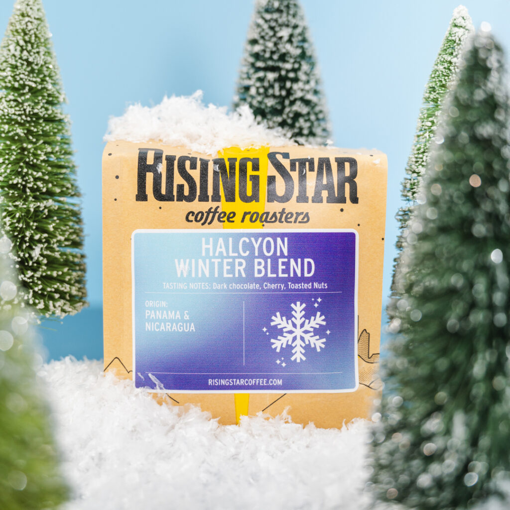 A bag of Rising Star Coffee's Halcyon Winter Blend. It is set in a faux snow and evergreen tree setting with snowdrifts on the bag.