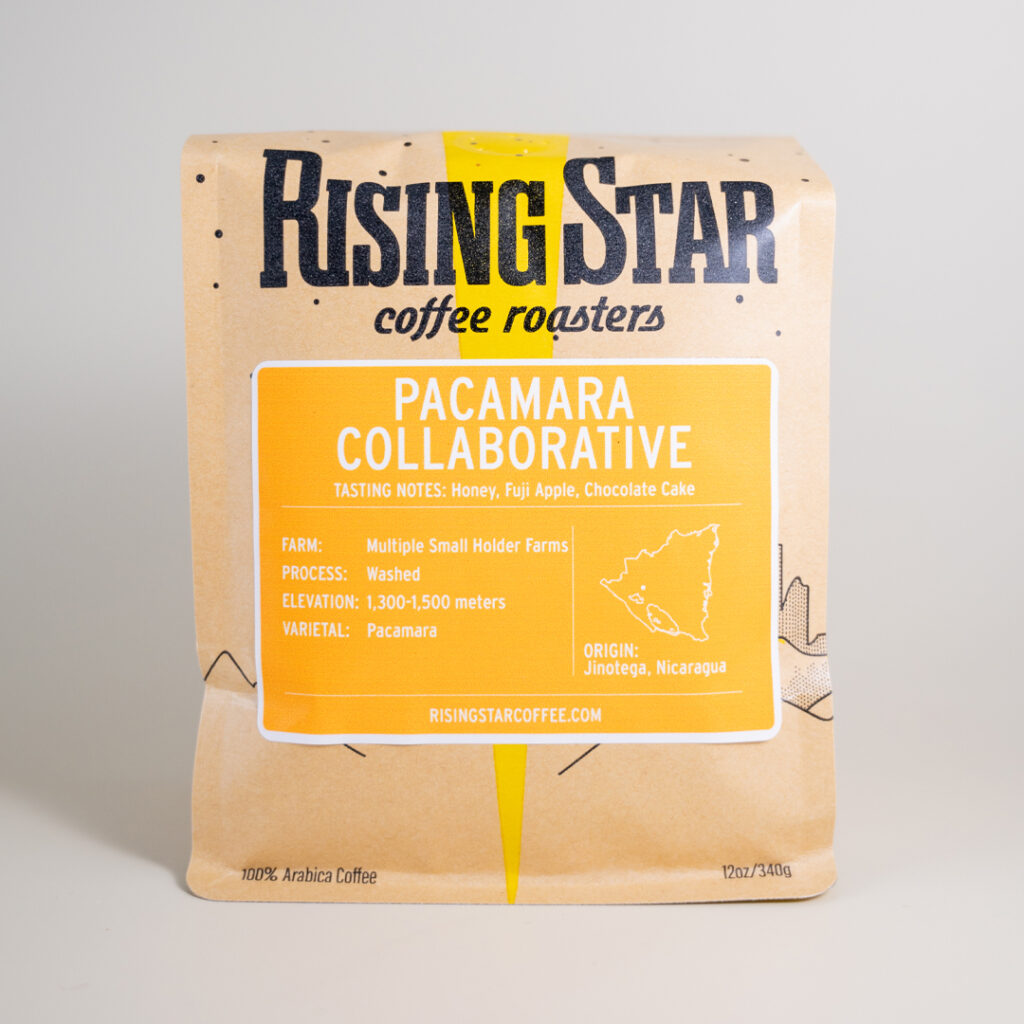 A bag of Rising Star Coffee with a golden label that reads Pacamara Collective from Jinotega, Nicaragua.